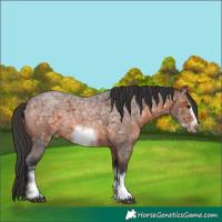 Horse Color:White Spotted Brown Ice Roan Frame 