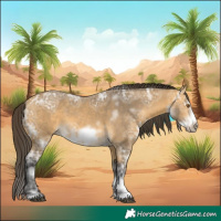 Horse Color:White Spotted Buckskin Ice Sabino Frame 