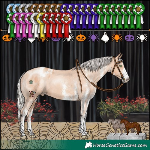 Horse Color:White Spotted Silver Sable Champagne Appaloosa 