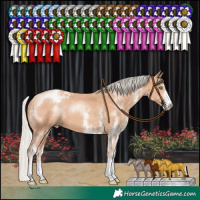 Horse Color:White Spotted Silver Sable Champagne Blanket 