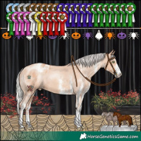 Horse Color:White Spotted Silver Sable Champagne Appaloosa