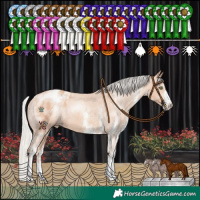 Horse Color:White Spotted Silver Sable Champagne Appaloosa