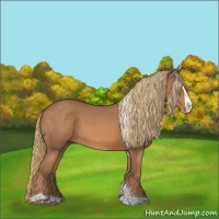 Horse Color:Chestnut Splash Tobiano 