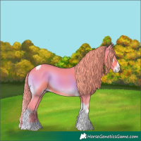 Horse Color:Watercolor Red Onyx Splash Tobiano 