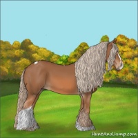 Horse Color:Chestnut Splash Tobiano