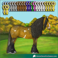 Horse Color:White Spotted Bay Splash 