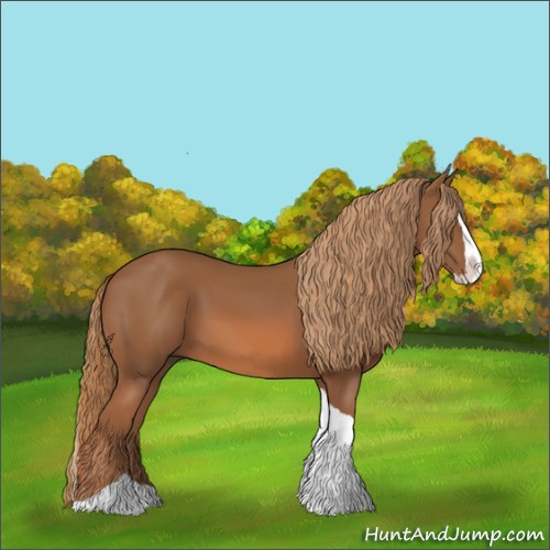 Horse Color:Chestnut Splash Tobiano 