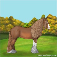 Horse Color:Chestnut Splash Tobiano