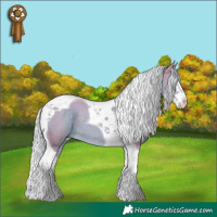 Horse Color:Watercolor Palomino Splash Tobiano 