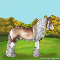 Horse Color:Red Onyx Splash Tobiano 
