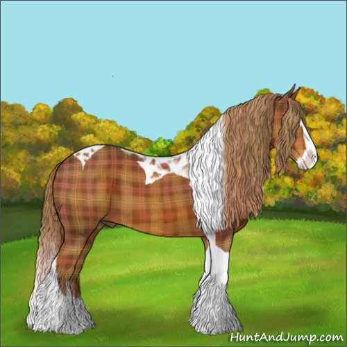 Horse Color:Plaid  Liver Chestnut Splash Tobiano 