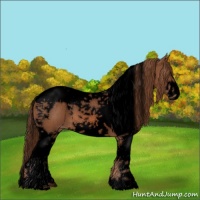 Horse Color:Void Chestnut Sabino Splash Tobiano Appaloosa 