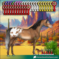 Horse Color:Gray Amber Champagne Appaloosa Rabicano