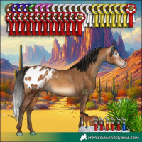 Horse Color:Gray Amber Champagne Appaloosa Rabicano 