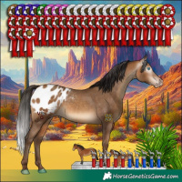 Horse Color:Gray Amber Champagne Appaloosa Rabicano