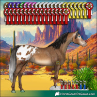 Horse Color:Gray Amber Champagne Appaloosa Rabicano