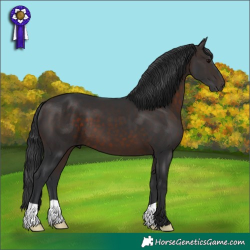 Horse Color:Brown 