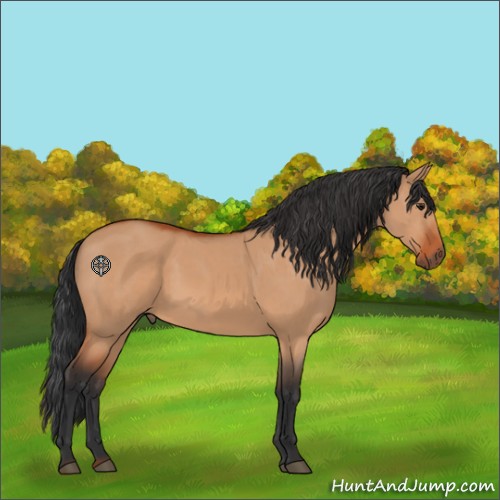 Horse Color:Brown Dun 