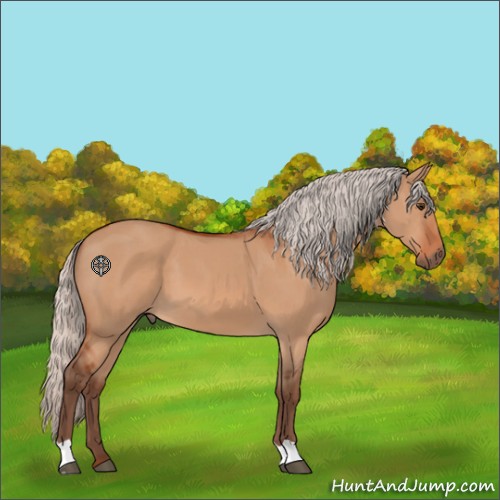 Horse Color:Silver Brown Dun 