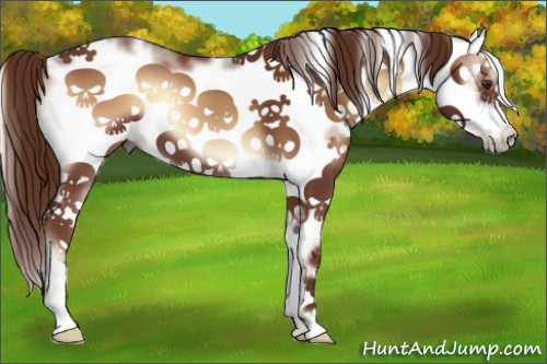 Horse Color:Red Onyx Sabino Frame 