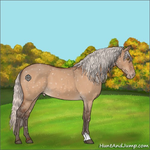 Horse Color:Silver Brown Roan Dun Appaloosa 