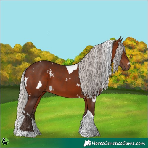 Horse Color:White Spotted Silver Brown Tobiano 
