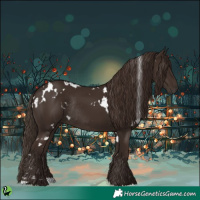 Horse Color:White Spotted Liver Chestnut Rabicano 
