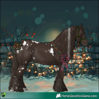 Horse Color:White Spotted Liver Chestnut Rabicano 