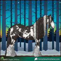 Horse Color:White Spotted Liver Chestnut 