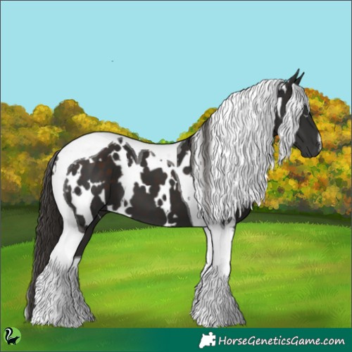Horse Color:White Spotted Liver Chestnut Tobiano