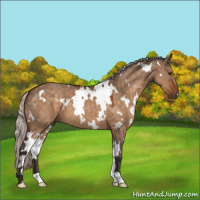 Horse Color:White Spotted Silver Brown Dun