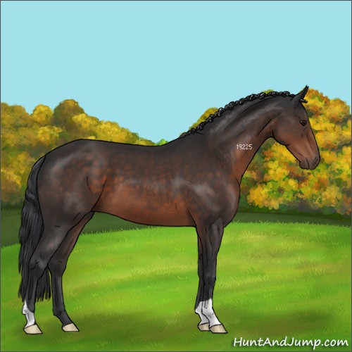 Horse Color:Brown 