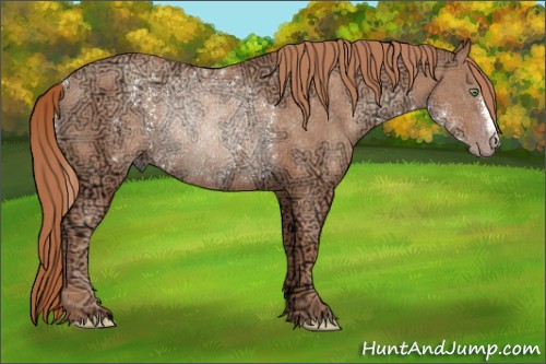 Horse Color:Gold Champagne Ice Rabicano 