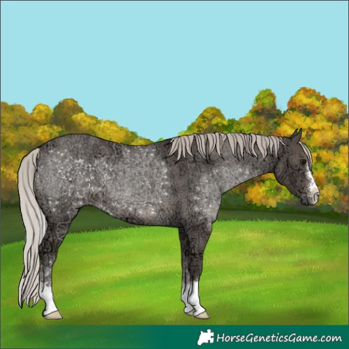 Horse Color:Silver Black Ice 