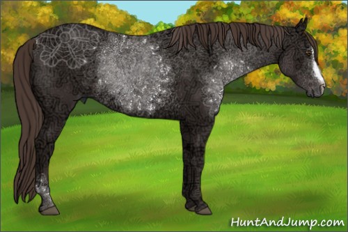 Horse Color:Liver Chestnut Ice Rabicano 