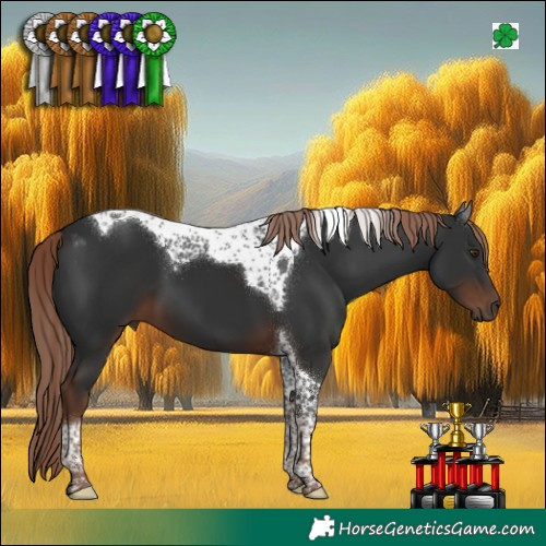 Horse Color:Liver Chestnut Tobiano 