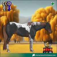 Horse Color:Liver Chestnut Tobiano