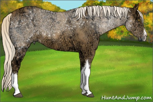 Horse Color:Palomino Ice 