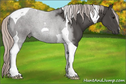 Horse Color:Silver Black Tobiano 