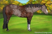 Horse Color:Brown Ice 