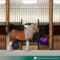 Horse Color:Chocolate Palomino Tobiano