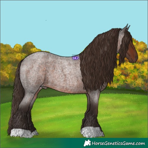 Horse Color:Liver Red Roan 