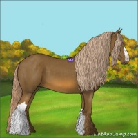 Horse Color:Chocolate Palomino 