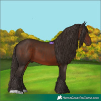 Horse Color:Liver Chestnut 