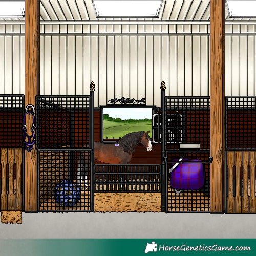 Horse Color:Brown Splash