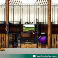 Horse Color:Brown Splash