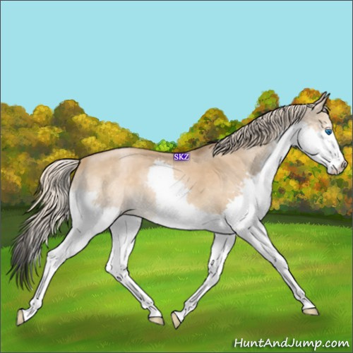 Horse Color:Chocolate Palomino Pearl Splash 