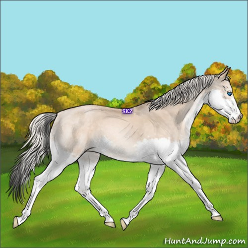 Horse Color:Chocolate Palomino Pearl Splash