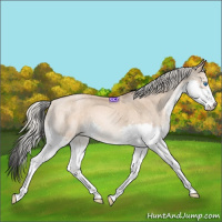 Horse Color:Chocolate Palomino Pearl Splash 