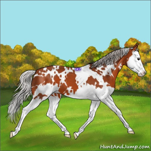 Horse Color:White Spotted Silver Bay Splash